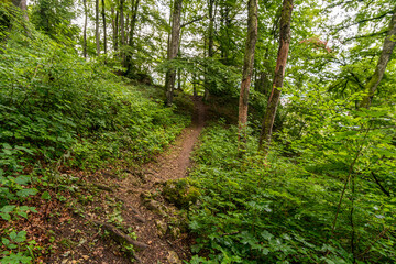 Wonderful hike through the Laucherttal on the southern edge of the Swabian Alb