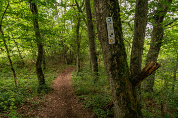 Wonderful hike through the Laucherttal on the southern edge of the Swabian Alb