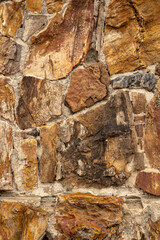Wall of Petrified Wood