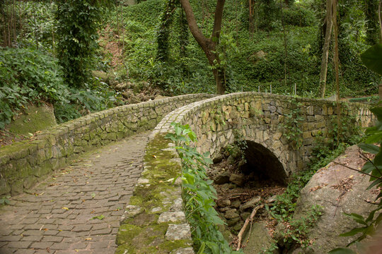 Ponte no Parque da Catacumba, Rio de Janeiro