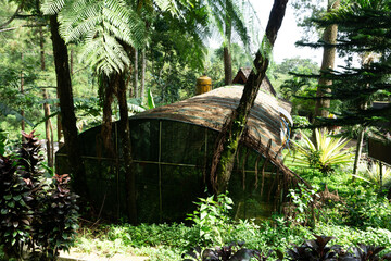 An abandoned bird house in Roro Kuning, Nganjuk, Indonesia.