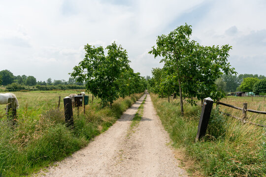 A lane on Zuylestein estate in Amerongen