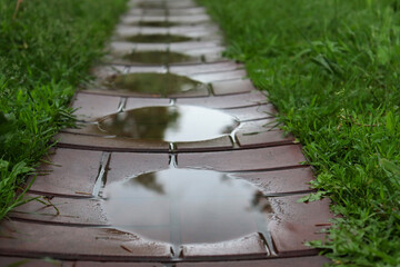 Small puddles on the footpath. Water after rain on the road and grass.
