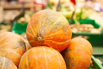 The pumpkin harvest is sold in the store