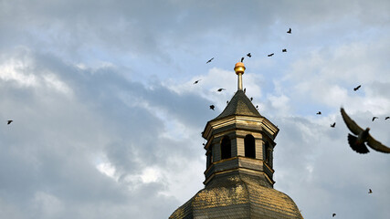 Vögel bei Unwetter auf einem Kirchturm