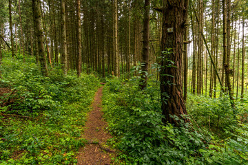 Wonderful hike through the Laucherttal on the southern edge of the Swabian Alb