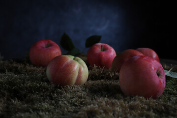 textured apples in the garden on a dark background in a ray of light