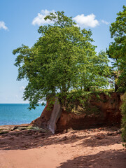 View from the Livermead Sands in Torbay, England, UK