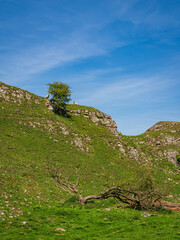 Yorkshire Dales landscape near Skyreholme, North Yorkshire, England, UK