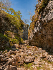Troller's Gill, near Skyreholme in the Lower Wharfedale, North Yorkshire, England, UK