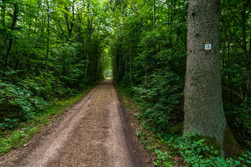 Wonderful hike through the Laucherttal on the southern edge of the Swabian Alb