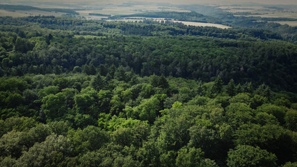 Fototapeta na wymiar Flight over a dense forest - wonderful nature - landscape photography