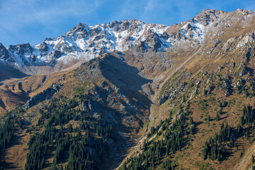 Obraz premium park country