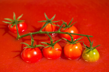 Ripe juicy cherry tomatoes on a green branch are filled with tomato juice. Background