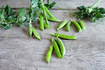 Green fresh vegetables and branches of plants on a rustic background top view. Bean and pea pods are scattered on the table.