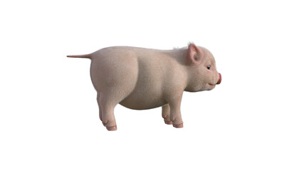 Fury The Piglet poses for your illustrations. Cartoon Figure Photo-realistic illustration for collage isolated on a white background. 3d rendering, 3D illustration.