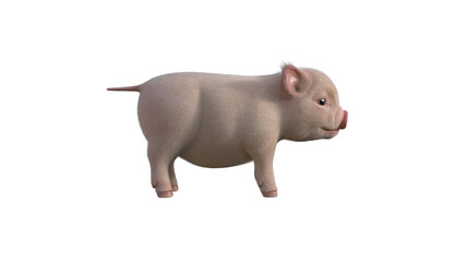 Fury The Piglet poses for your illustrations. Cartoon Figure Photo-realistic illustration for collage isolated on a white background. 3d rendering, 3D illustration.
