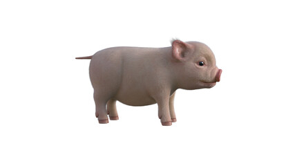 Fury The Piglet poses for your illustrations. Cartoon Figure Photo-realistic illustration for collage isolated on a white background. 3d rendering, 3D illustration.