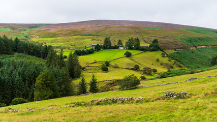 Fototapeta na wymiar Typical Irish countryside landscape. Summer in Ireland.