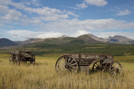 Cool old western wagons in mountain ranch landscape
