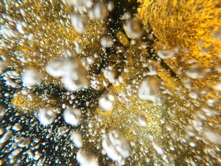 natureza - árvores - céu 