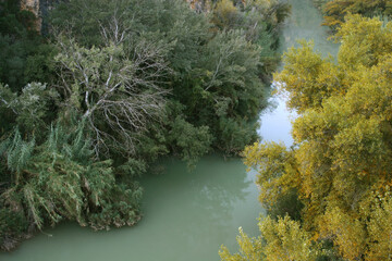 Río Segura en otoño, Cañón de Almadenes, Cieza (Murcia-España).