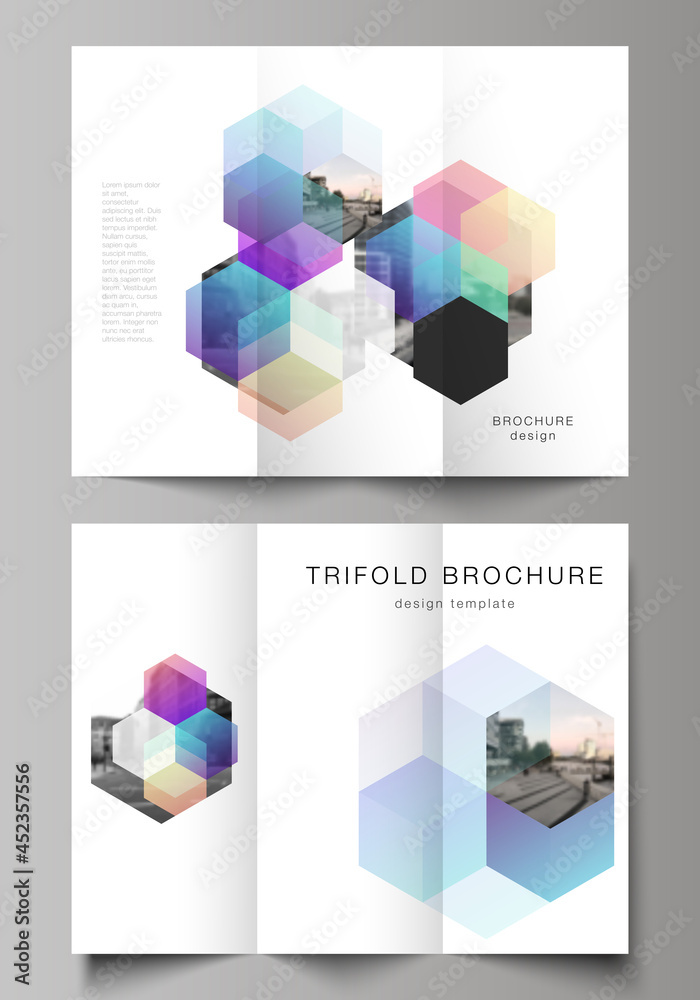 Canvas Prints vector layouts of covers design templates with abstract shapes and colors for trifold brochure, flye