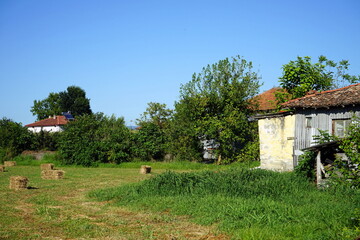 Gemähte grüne Wiesen mit getrockneten Heuballen auf dem Lande im Sommer bei blauem Himmel und...