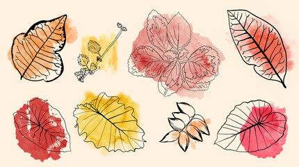 Leaves on watercolor background, fall flowers leaf design, abstract autumn illustration in orange blue green brown and yellow, set of plant outlines in minimal black silhouette design elements