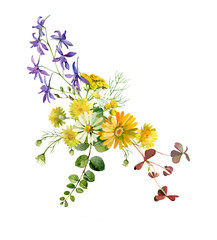 Watercolor bouquet multicolored wild flowers on a white background