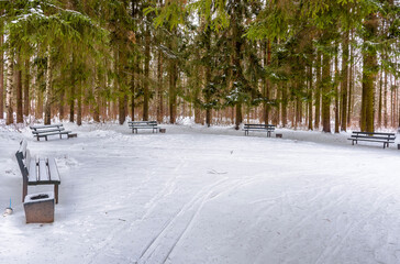 Obraz premium Winter landscape of the park of the city of Pavlovsk. St. Petersburg.