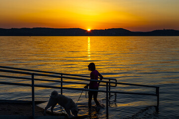 Sonnenuntergang mit einem Hund