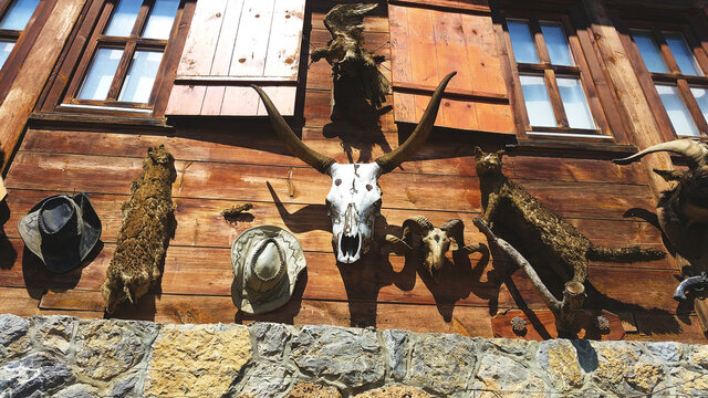 Western background photo with animal skull and cowboy hat