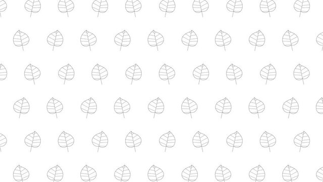 Aspen tree leaves black thin line icons on a white background. Seamless loop motion graphic pattern with animated leaves in geometric grid