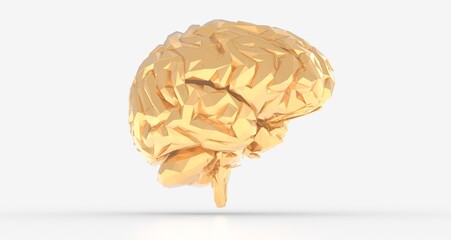 Human brain activity with plexus lines.. External cerebral connections in the frontal lobe.