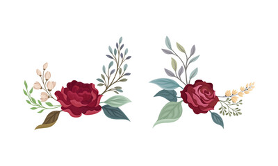 Red rose with green leaves set. Vintage floral decoration with flowers and branches vector illustration
