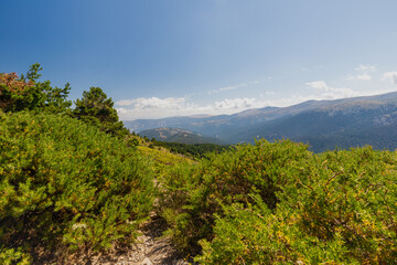 Amazing panoramic views over the Northern Mountain range of Madrid with the Peñalara mountains. This part has wonderful hikes starting the little village of Cotos.