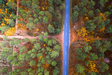 Road through the autumn forest at sunset. Drone type.