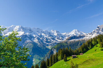 Fototapeta na wymiar View on Swiss Alps on sunny day near Murren, Switzerland.