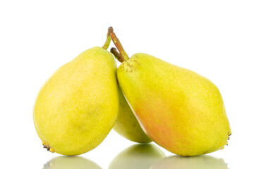 Three bright yellow juicy pears, close-up, isolated on white.