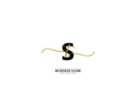 Letter ST Logo, creative st ts signature logo for wedding, fashion, apparel and clothing brand or any kind of business