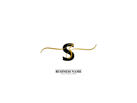 Letter SZ Logo, creative sz zs signature logo for wedding, fashion, apparel and clothing brand or any kind of business
