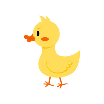 Yellow gosling or duckling icon isolated on white background. Funny domestic little baby goose - farm poultry bird. Flat design cartoon style vector illustration.