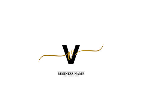 Letter VV Logo, creative vv v v signature logo for wedding, fashion, apparel and clothing brand or any kind of business