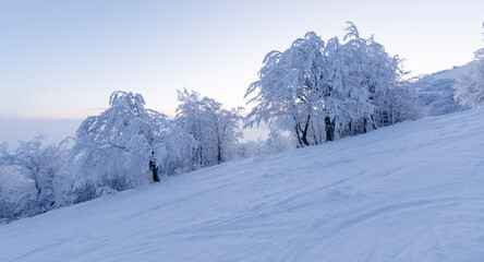 Obraz premium Dawn on an empty ski slope. Panorama.