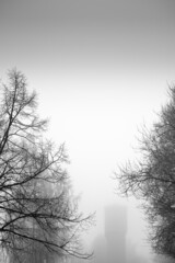tree and water tower in fog