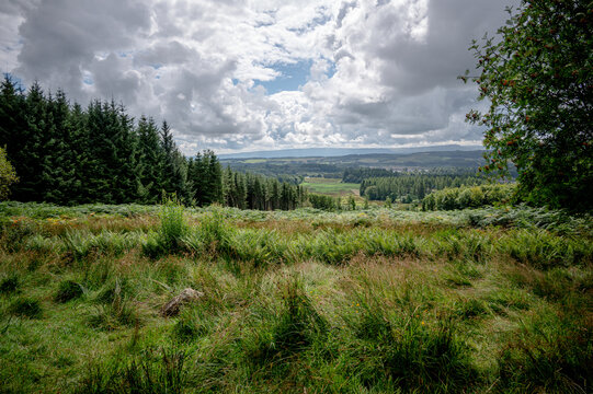 Landscape around Bracklinn falls, Callandar, Stirling, Scotland