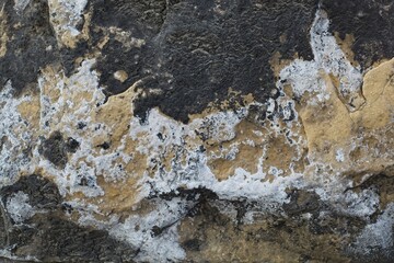 Obraz premium Old limestone wall