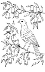 Obraz premium The bird is sitting in the flowering branches. Coloring page