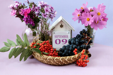 Fototapeta na wymiar Calendar for September 9 : the name of the month of September in English, cubes with the number 9, autumn flowers and heather branches in bouquets, bunches of rowan and ripe grapes on a tray